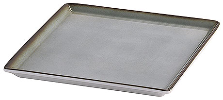 2934/233 RAISER INOX 23x23 